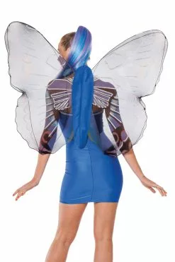 Vlindervleugels Volwassenen