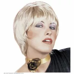 Pruik, Unisex (in Plastic Doos)